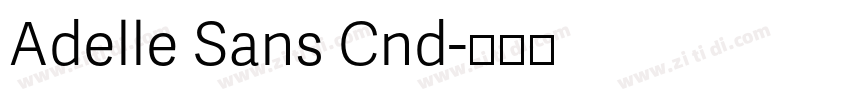 Adelle Sans Cnd字体转换